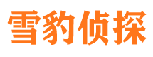 邗江市私家侦探